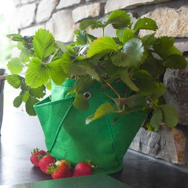 Onek Садовый горшок Bloembagz sun-id-1485682 - Вид №2