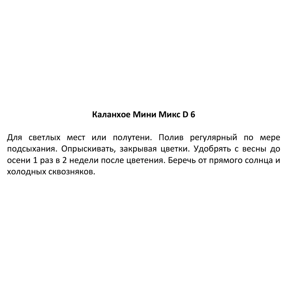 Каланхое Мини микс ø6 h10 см 85394505 STLM-2198631 Santreyd  - Вид №5