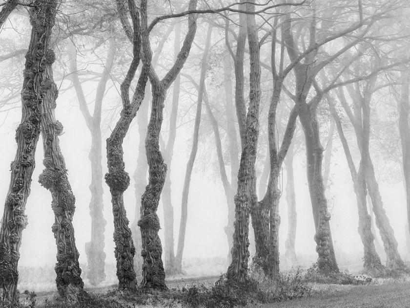 Architects Paper Обои с цифровой печатью с пейзажами Ap digital iv 109240 - Вид №1