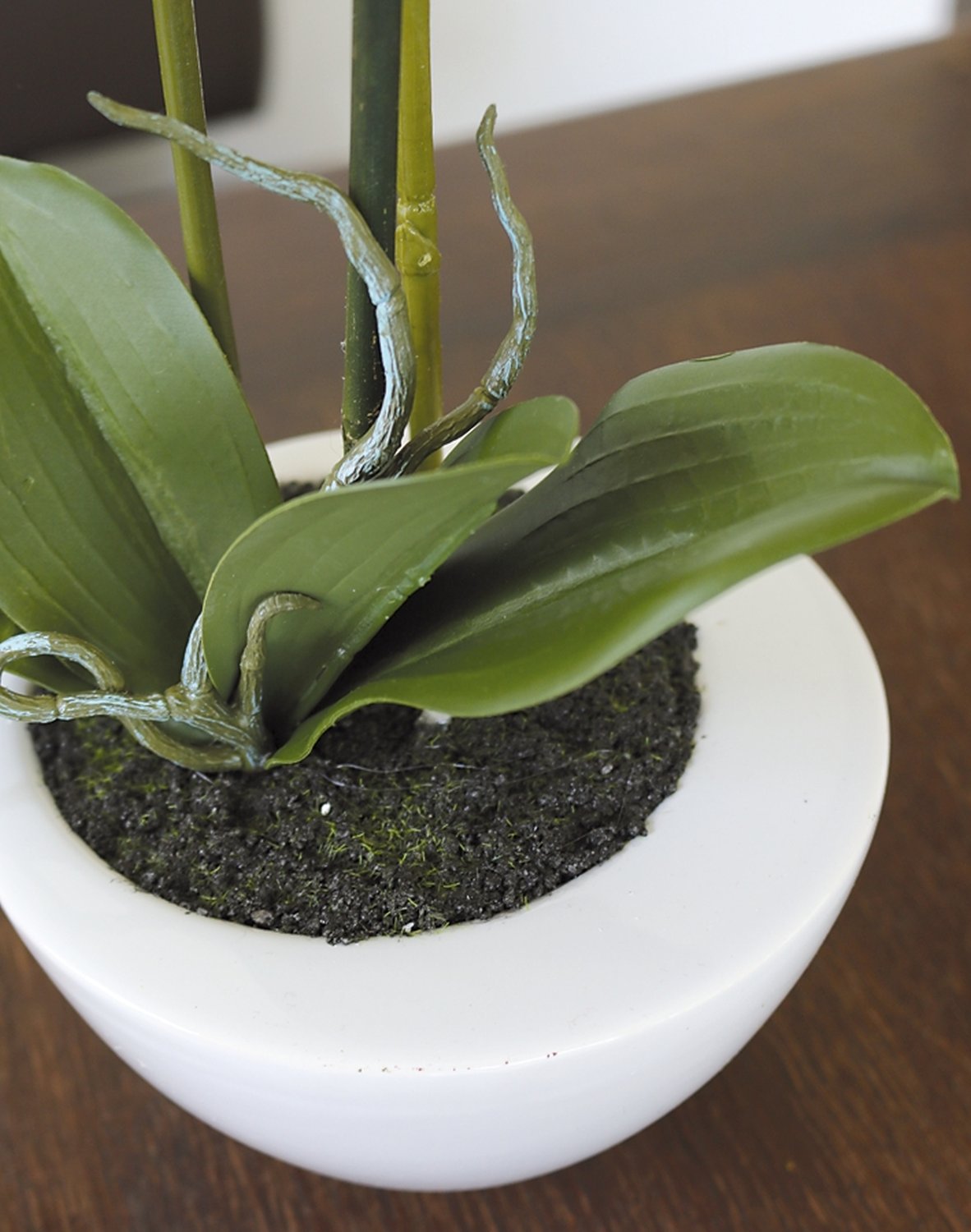 2606 883 a3 Пластиковая орхидея Phalaenopsis, горшечная, 55 см, real touch soft, зеленая H-andreas  - Вид №3