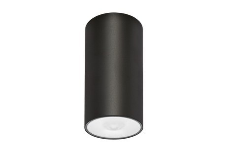 DST-86 Lens watertight ceiling-mounted Daisalux Светильники аварийные Черный 