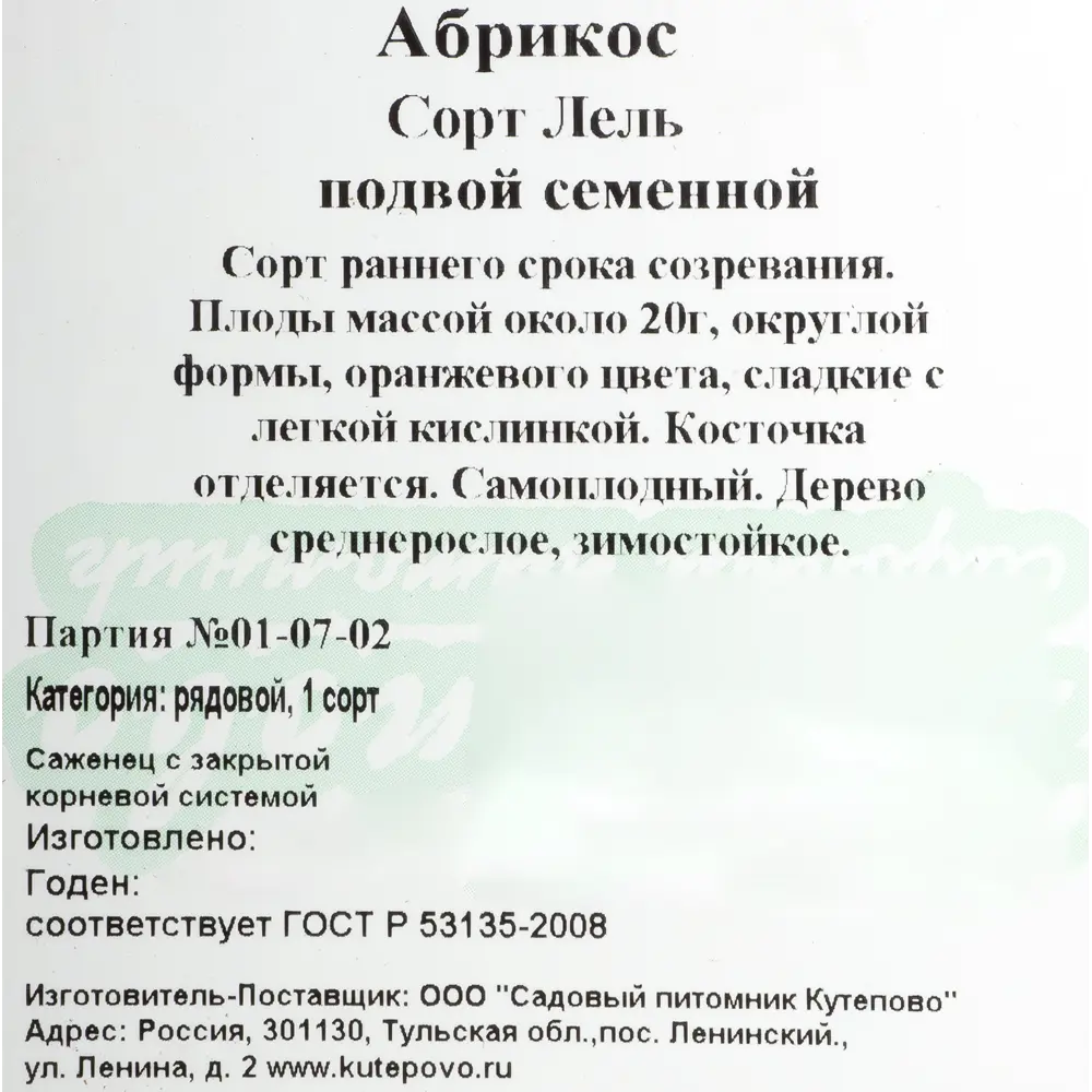 Абрикос С4 «Лель» h100-120 (2 года) 81954899 STLM-2187043 Santreyd  - Вид №1