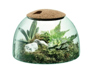 Террариум из дутого и переработанного стекла