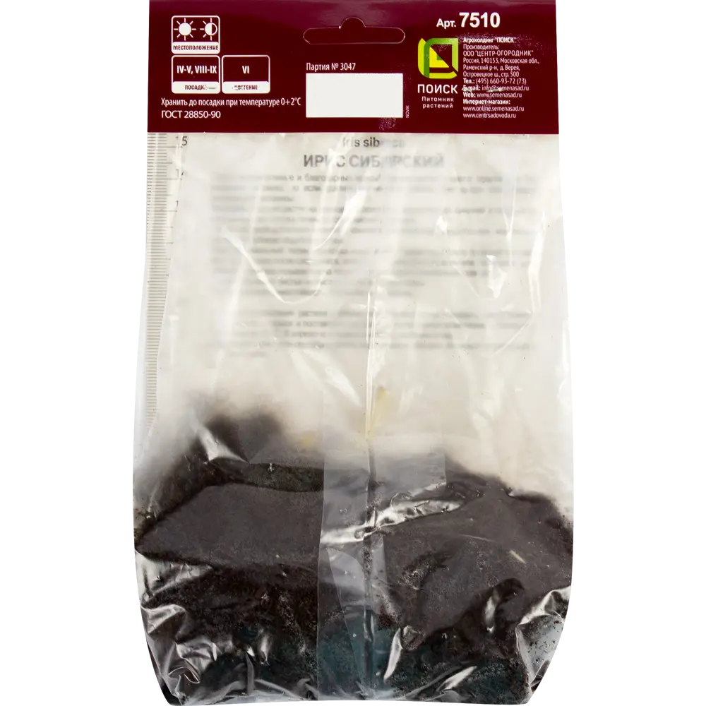 Ирис сибирский «Цезарс Бразе», размер луковицы I Santreyd STLM-2052762 - Вид №2