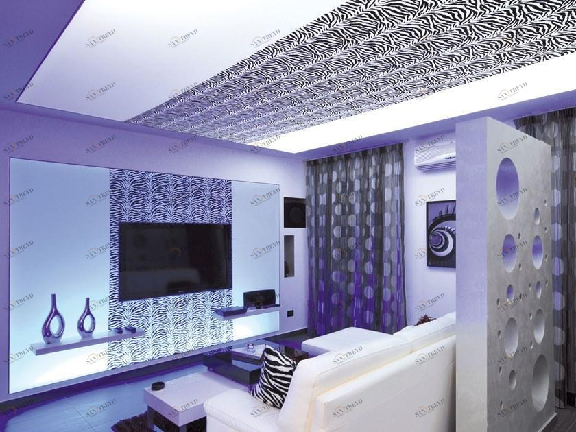 BARRISOL Натяжная стена с акустической подсветкой, напечатанная из ПВХ sun-id-1345873