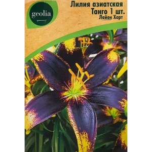 Лилия Geolia азиатская Танго Лайон Харт 86408619 STLM-2007117