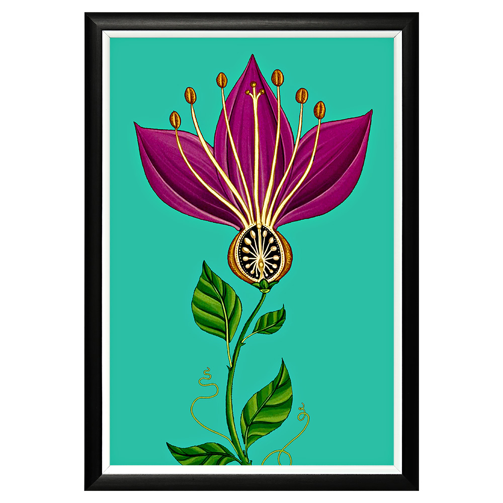 2896518679_1818 Арт-постер "Pretty Exotic / Вечер" Object Desire 