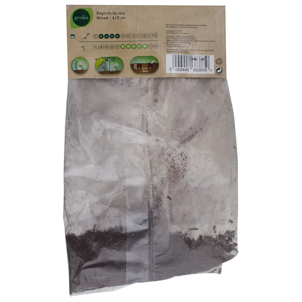 Бегония Geolia «double Mixed», 4х5 см 15548790 STLM-2016816  - Вид №1