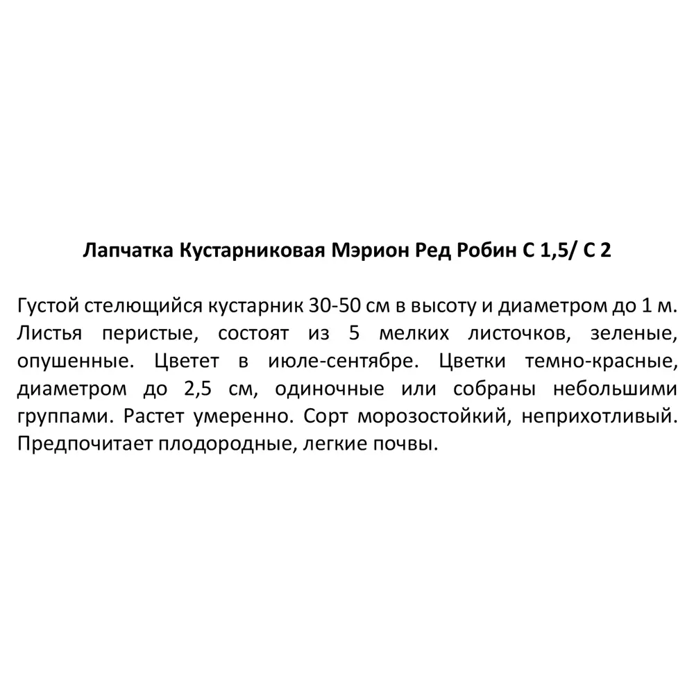 Лапчатка кустарниковая Мэрион Ред Робин ø17 h30 см 85324914 STLM-2204821 Santreyd  - Вид №4