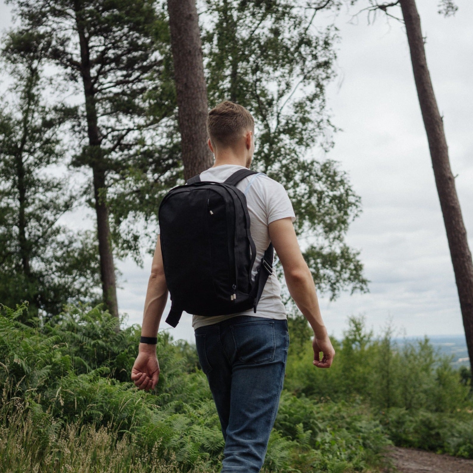 W301BLA-CHA-STE Everyday Pack 21 л — уголь / нержавеющая сталь Wingback  - Вид №17