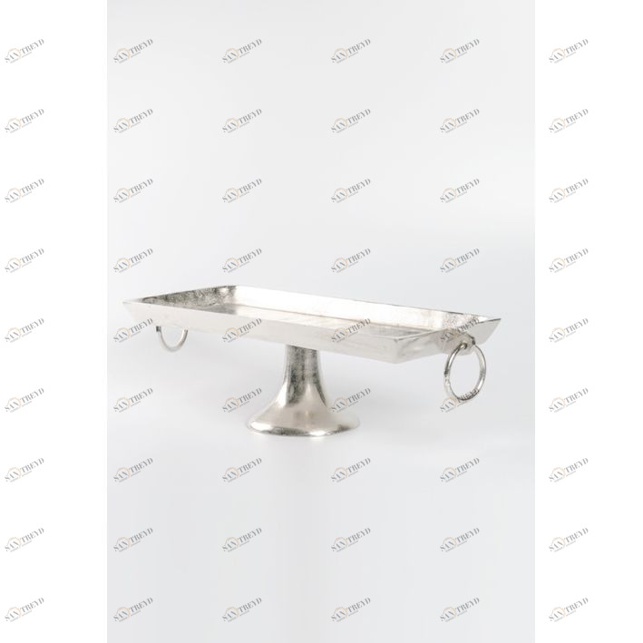 Блюдо сервировочное прямоугольное Bricka Mr Plant 425202