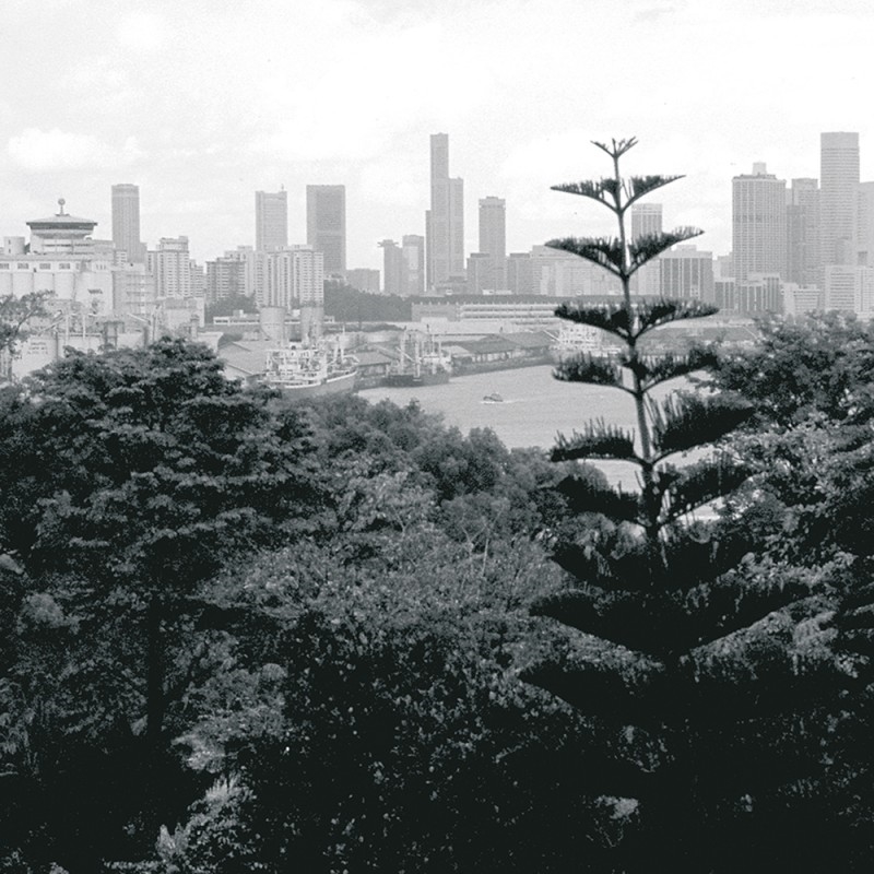 0117/CX38 Картина 0117 Adriani e Rossi  - Вид №1