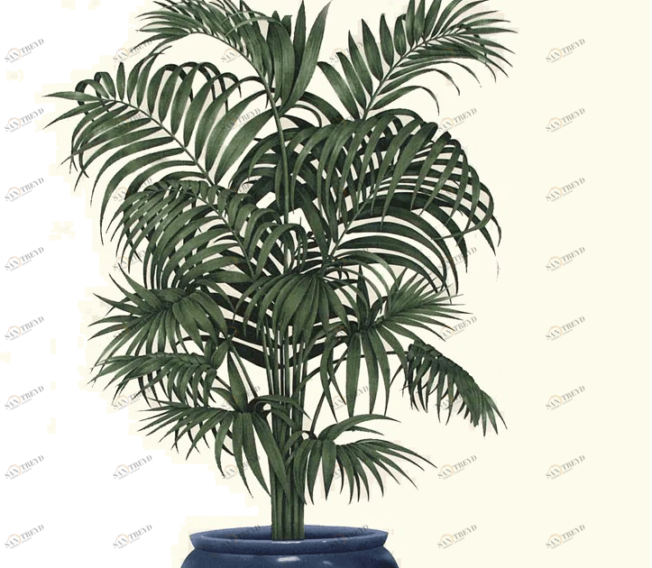 Equipo DRT Современный стиль огнестойкая акриловая ткань с цветочными мотивами sun-id-1347493