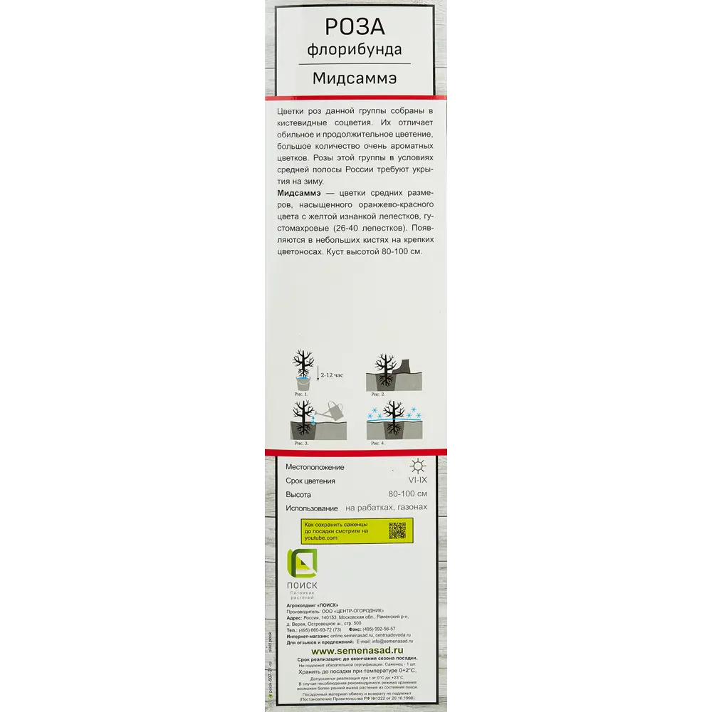 Роза флорибунда Мидсаммэ h37 см 83786591 STLM-2147030 Santreyd  - Вид №1