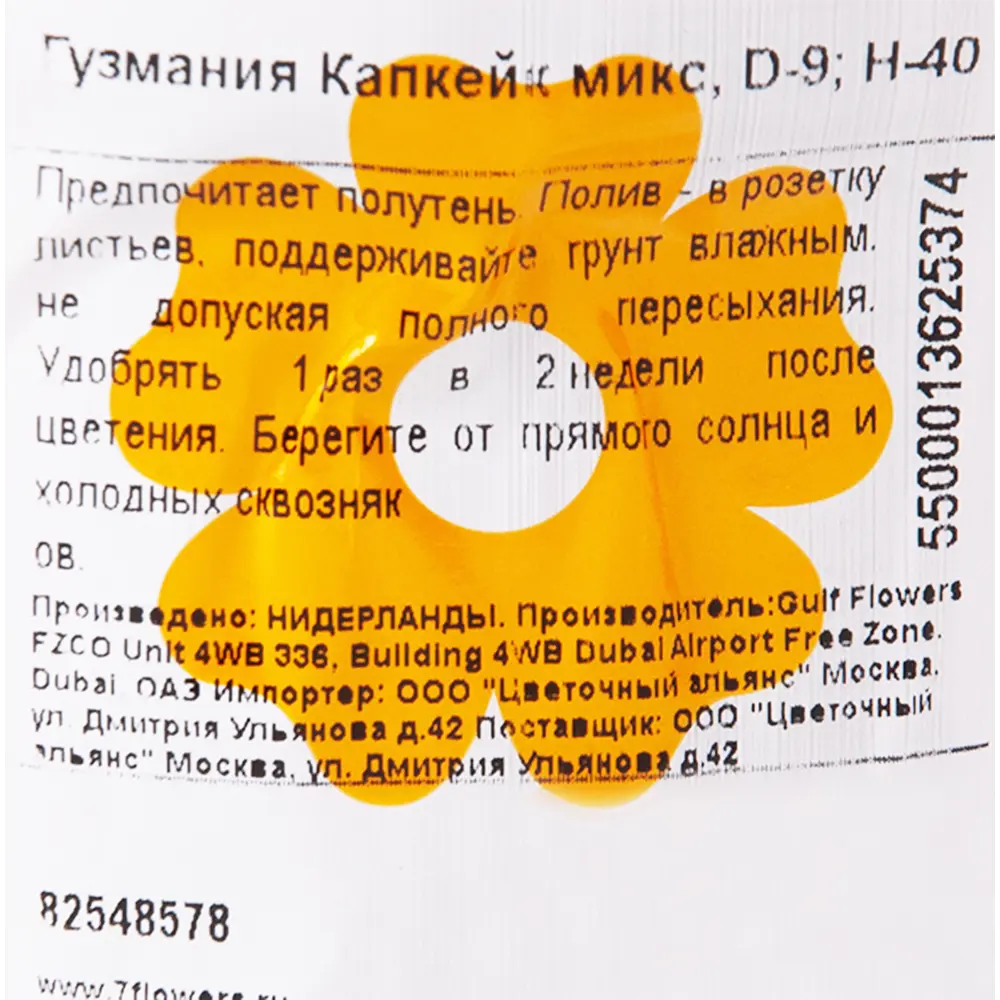 Гузмания Капкейк микс 9x40 см 82548578 STLM-2184943 Santreyd  - Вид №2