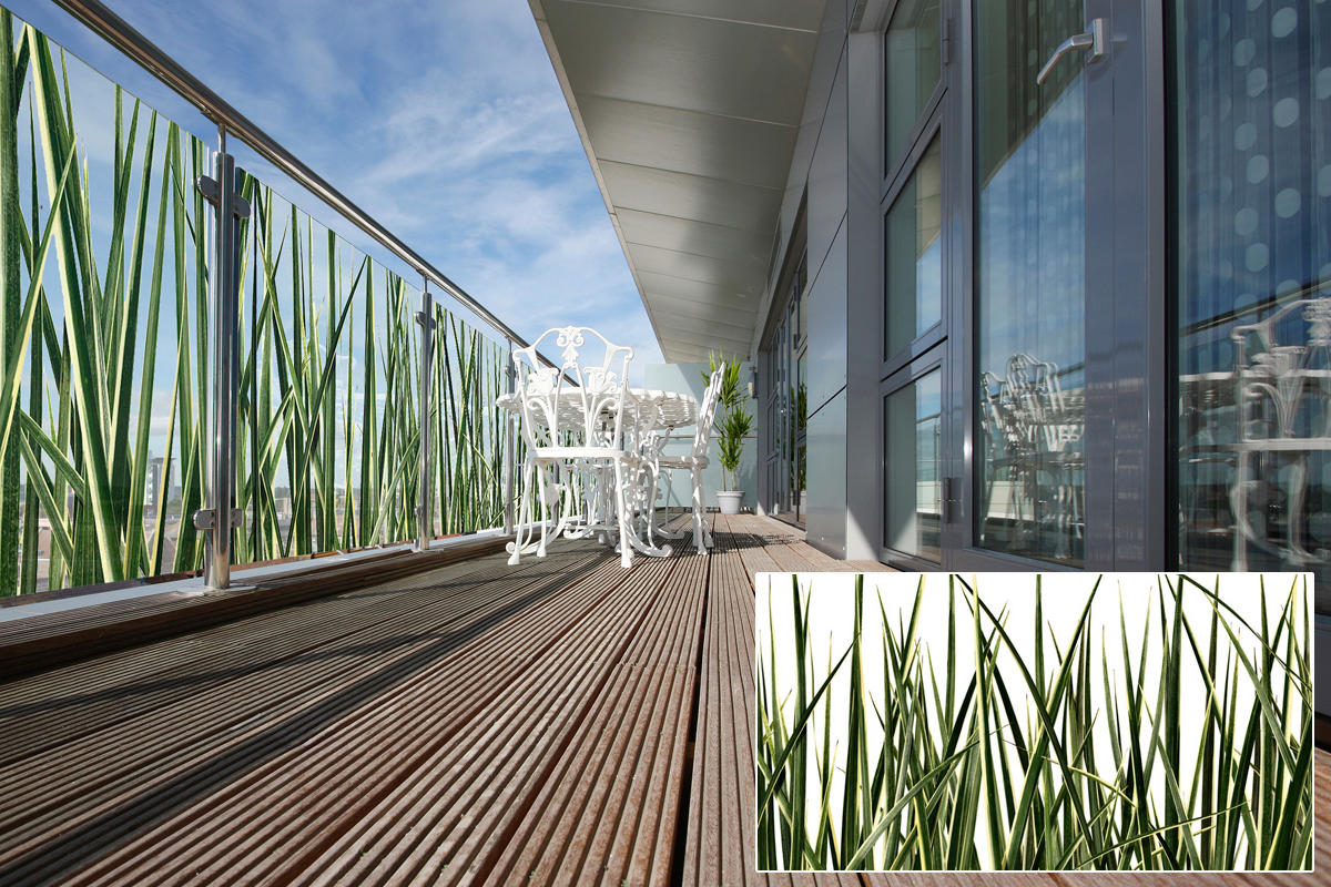 FSRT371 Зум-стекло Vivispectra с прослойкой из темного аметиста Forms-surfaces  - Вид №22