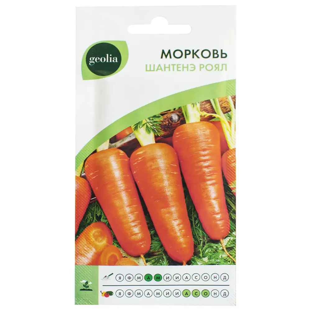 Семена моркови Geolia Шантенэ Роял — высокоурожайный сорт для вашего огорода 17585076 STLM-0008347