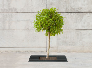 Железная решетка для деревьев