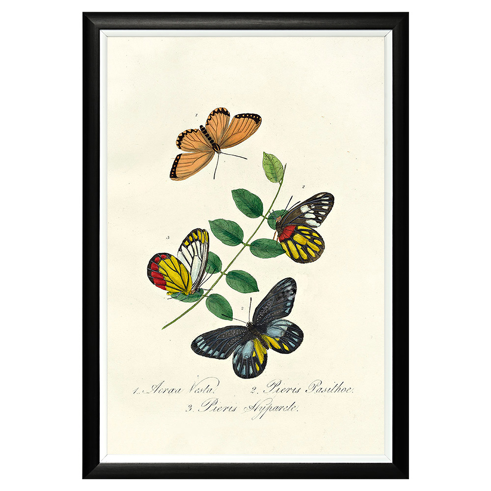 782752445_1818 Арт-постер «Тропический рай», версия 38 Object Desire 