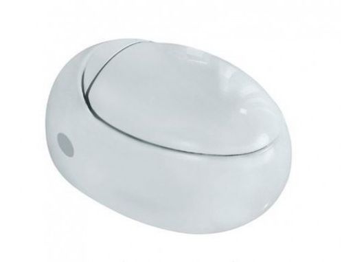 FSS-WHT-29951 Подвесной унитаз Jaquar Fusion Santreyd